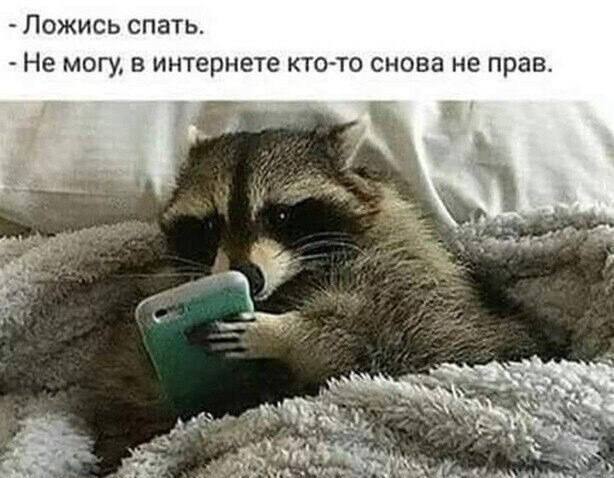 Сон отменяется