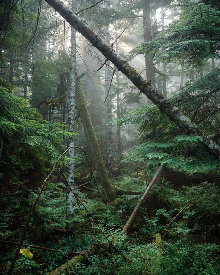 Кого то здесь не хватает ...