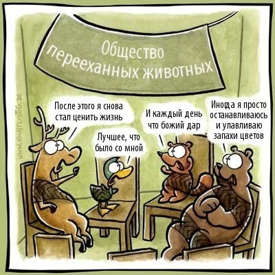 С 2008 года храню эту картинку. «Прикатилось»…