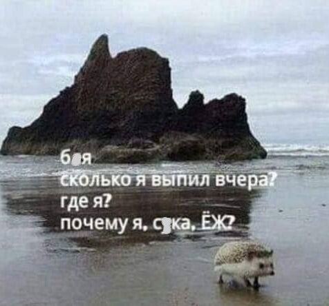 Ёж