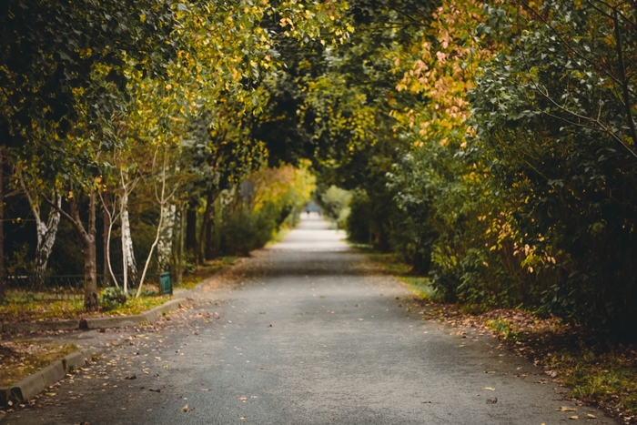 Осенняя дорожка