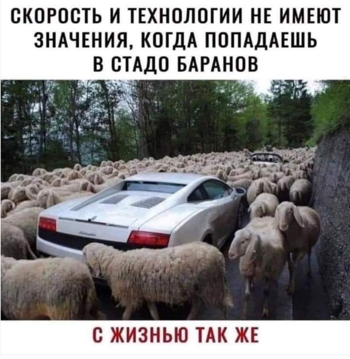 Зеркало для героя