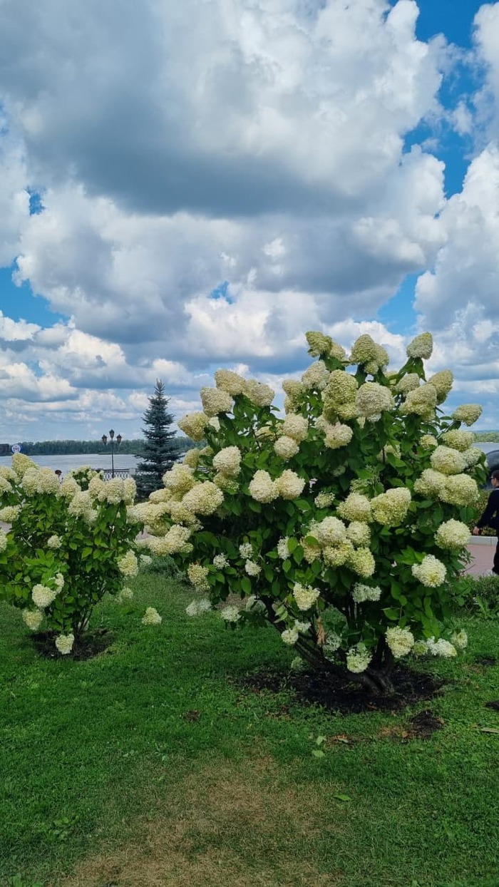 Какая-то фотозона прям!