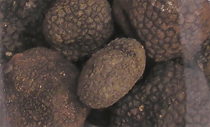 ������� ������