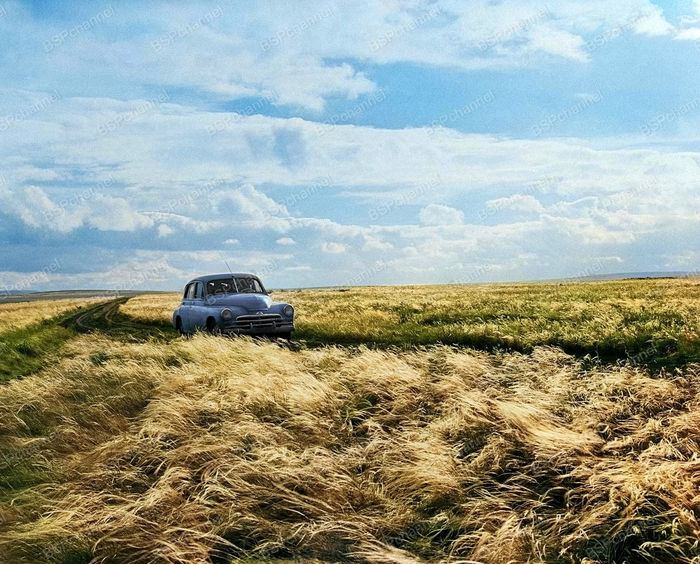 ��������: ����� ����������