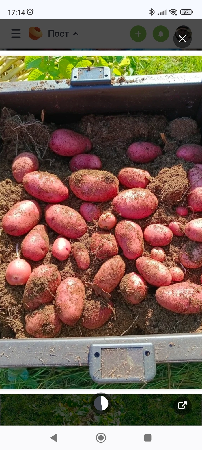   1,5 .   ,         ?   -