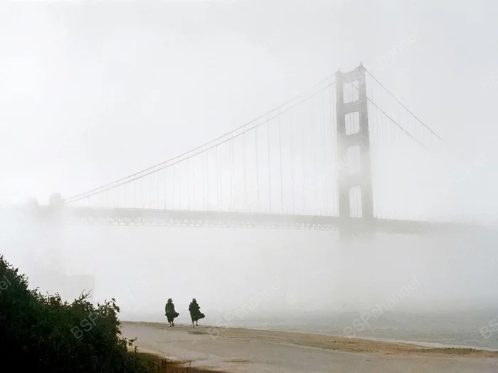 Фотограф: Фред Лион Фотограф: Фред Лион