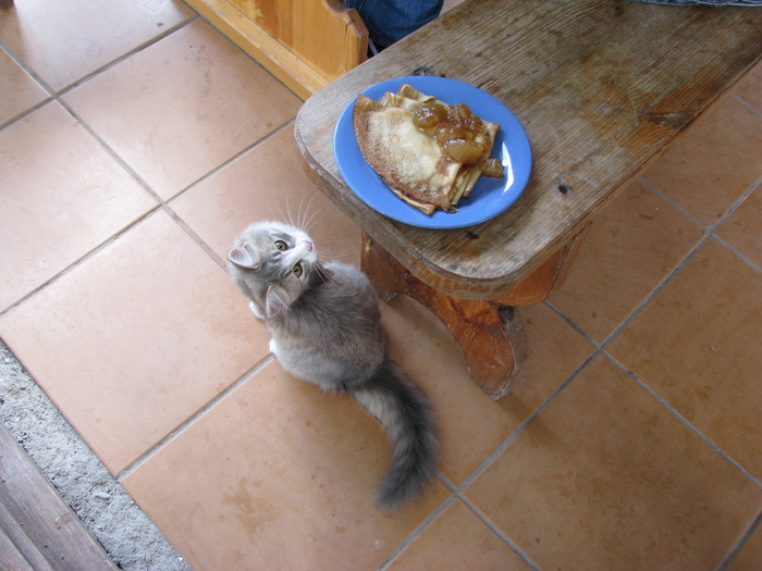 Ответ на пост «Изборский котэ»