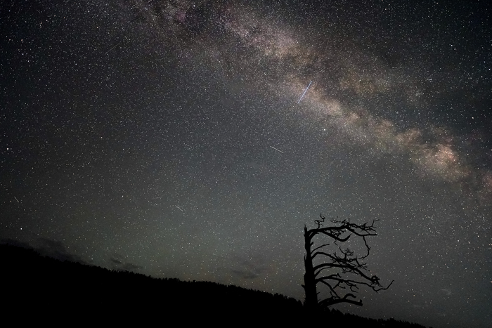 Алтай, с.Бешпельтир, 2025 г.