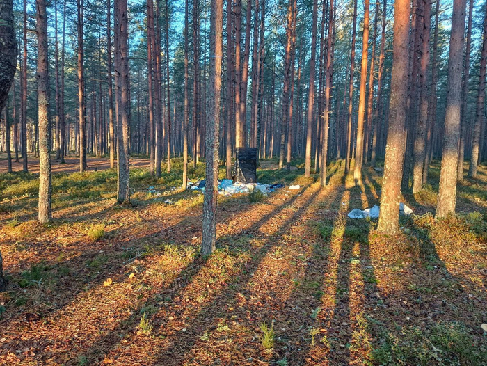 Из поста с <a href="https://pikabu.ru/story/velosubbotniki_nekotoryie_myisli_v_svyazi_s_anonsom_aktsii_13220713?u=https%3A%2F%2Fvk.com%2Fwall-203674093_763&t=%D0%B0%D0%BD%D0%BE%D0%BD%D1%81%D0%BE%D0%BC&h=25a741a88c837dd47dbc78df6f868cfcad59eec6" title="https://vk.com/wall-203674093_763" target="_blank" rel="nofollow noopener">анонсом </a>акции