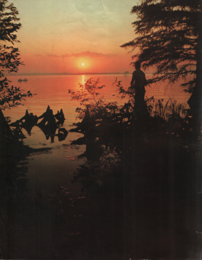 1.       ( ),            .    -   ,  .