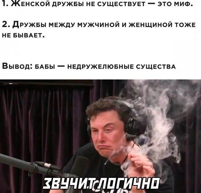 blhvkqvg.webp