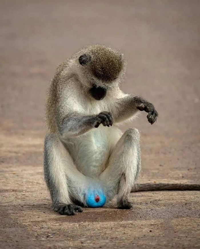 : Larry Petterborg <a href="https://pikabu.ru/story/ya_ne_zabolel_13221883?u=https%3A%2F%2Ft.me%2Fivanzatevakhin%2F3649&t=%D0%BE%D1%82%D1%81%D1%8E%D0%B4%D0%B0&h=53b17b4bf8ce5c835a00574945b0a0a3a240e079" title="https://t.me/ivanzatevakhin/3649" target="_blank" rel="nofollow noopener"></a>