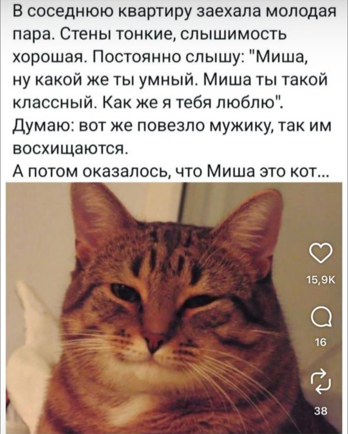 Все мы хотим быть этим Мишей