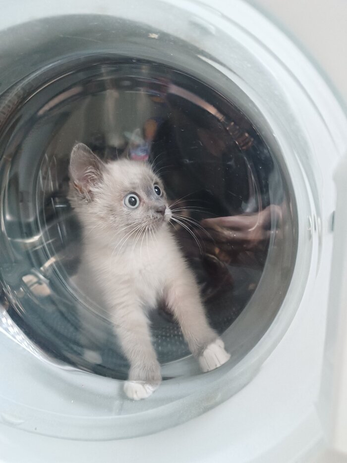 ����� � �����������!