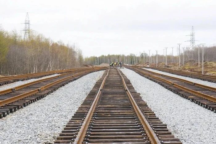 Фото взято из открытых источников