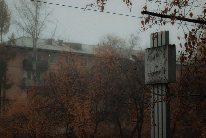 Canon 600d + canon 50mm 1.8