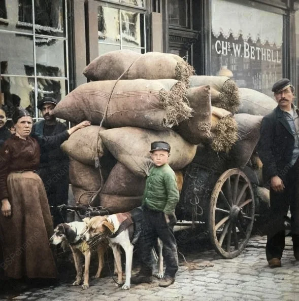 Фотограф: Пол Томпсон Фотограф: Пол Томпсон