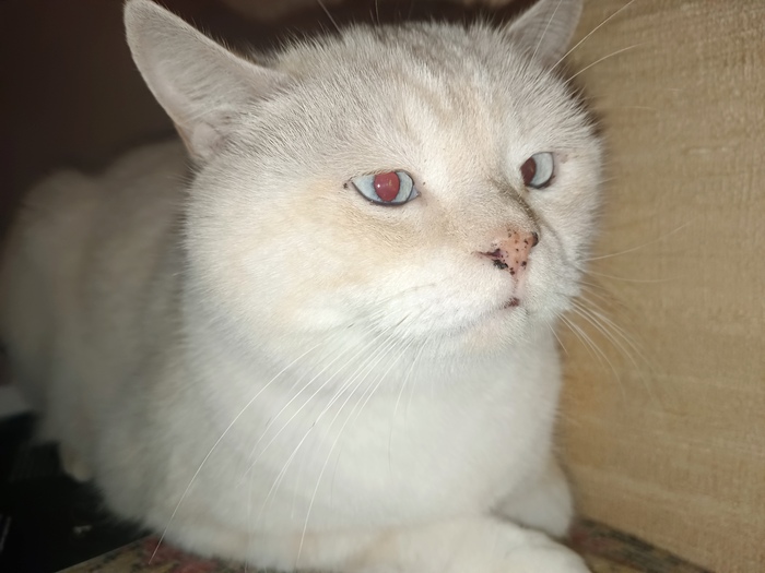 ,    , ,   ,    -  ,  