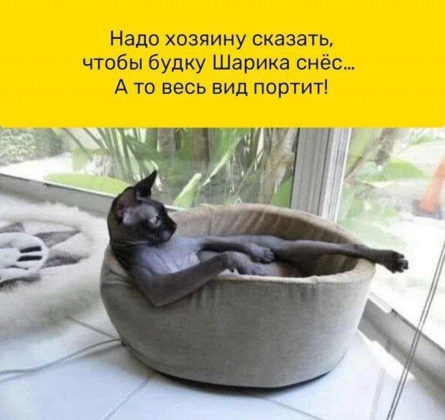 Деловой какой