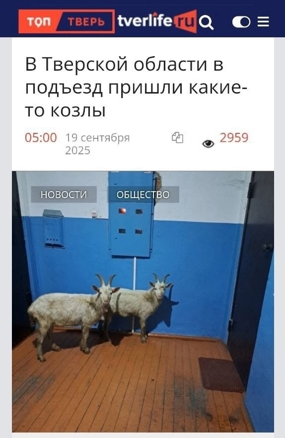 - ...