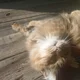 Аватар пользователя JollyKey