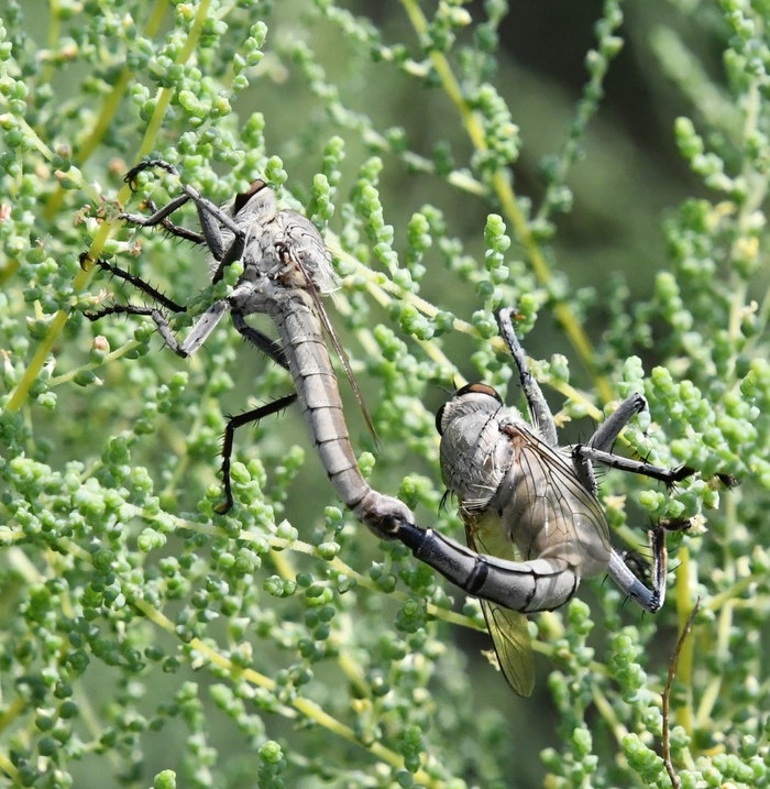 Когда обиделись друг на друга, но всё равно остаетесь неразлучны.