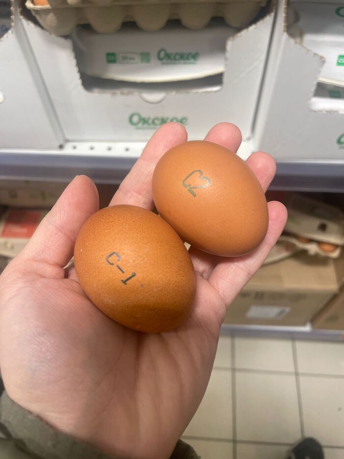 В голову закрались смутные сомнения