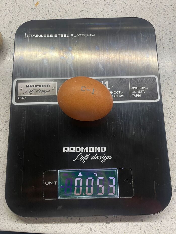 Четыре выдали рекордные 53 грамма! Да, можно докопаться до погрешности весов, но! Остальные яйца реально меньше и легче...