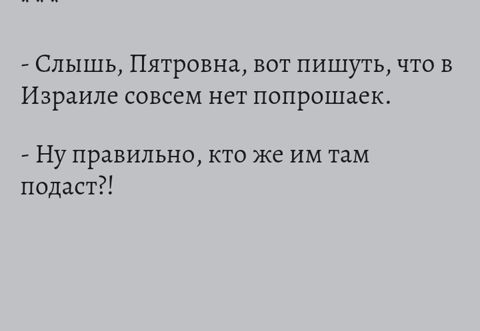 А в Мурманске нет бродячих собак. Им негде согреться.