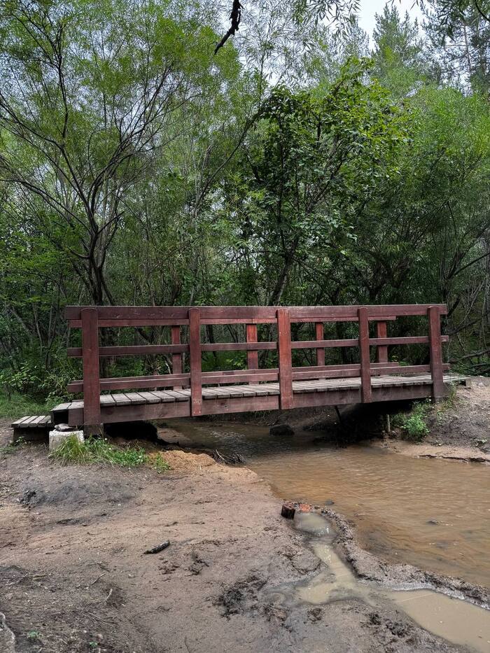 ���� ����� ���� ����������