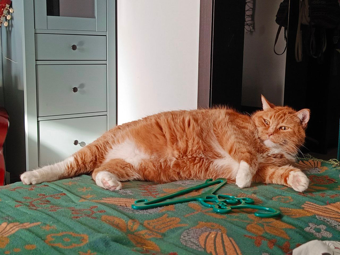 Little Bit News |         ,         