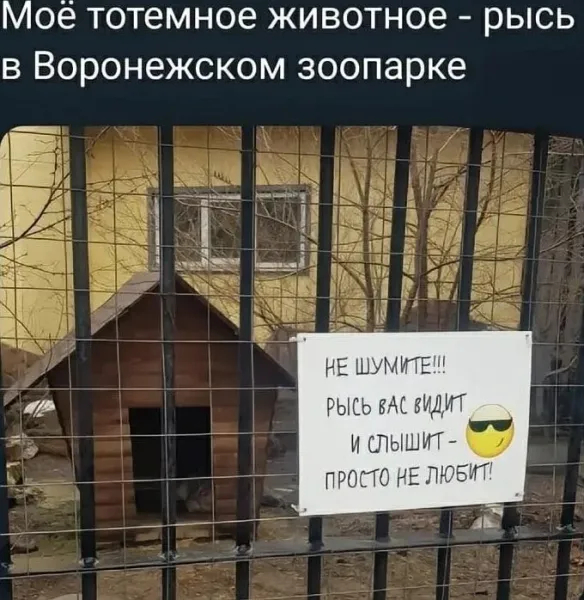 ��� ��� ���� )