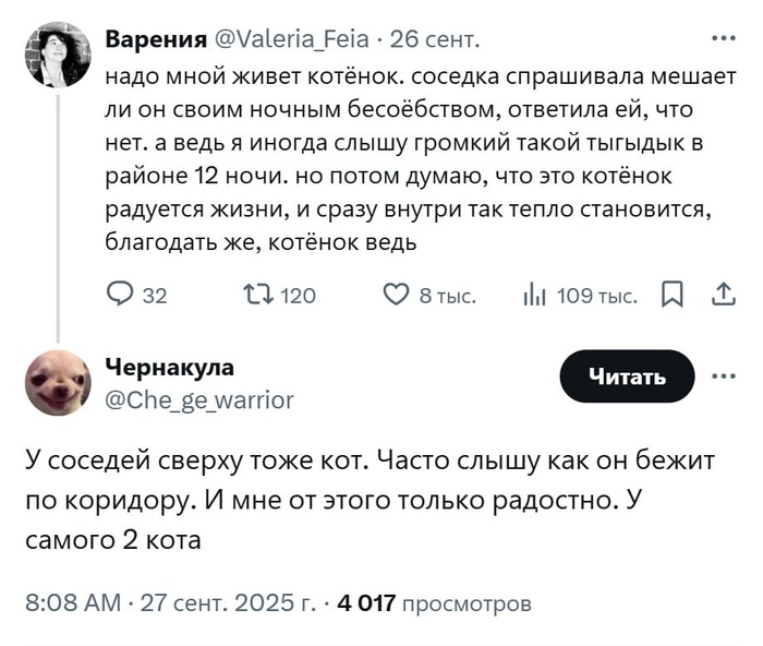 Топот маленьких ножек