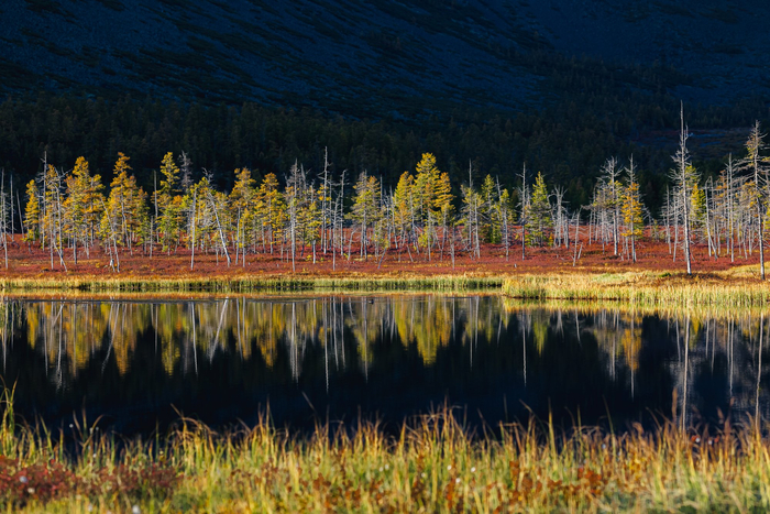 :   <a href="https://pikabu.ru/story/zerkalo_13237958?u=https%3A%2F%2Frtraveler.ru%2Fphoto%2F1478336%2F%3Feditorial_photos%3D1&t=%D0%BE%D1%82%D1%81%D1%8E%D0%B4%D0%B0&h=93ebe90d379356571151a8badf0119674546f1b1" title="https://rtraveler.ru/photo/1478336/?editorial_photos=1" target="_blank" rel="nofollow noopener"></a>