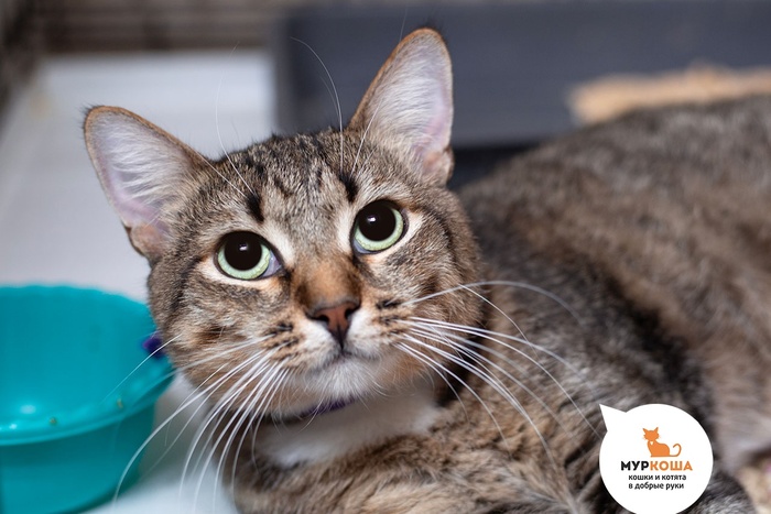  , 3 ,   .  .        - .  :             .