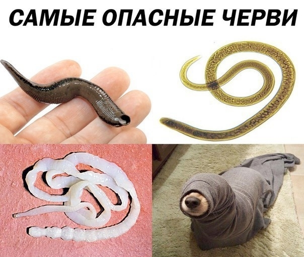 Самые