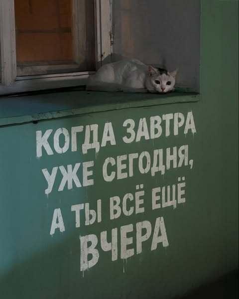  -          (     !).