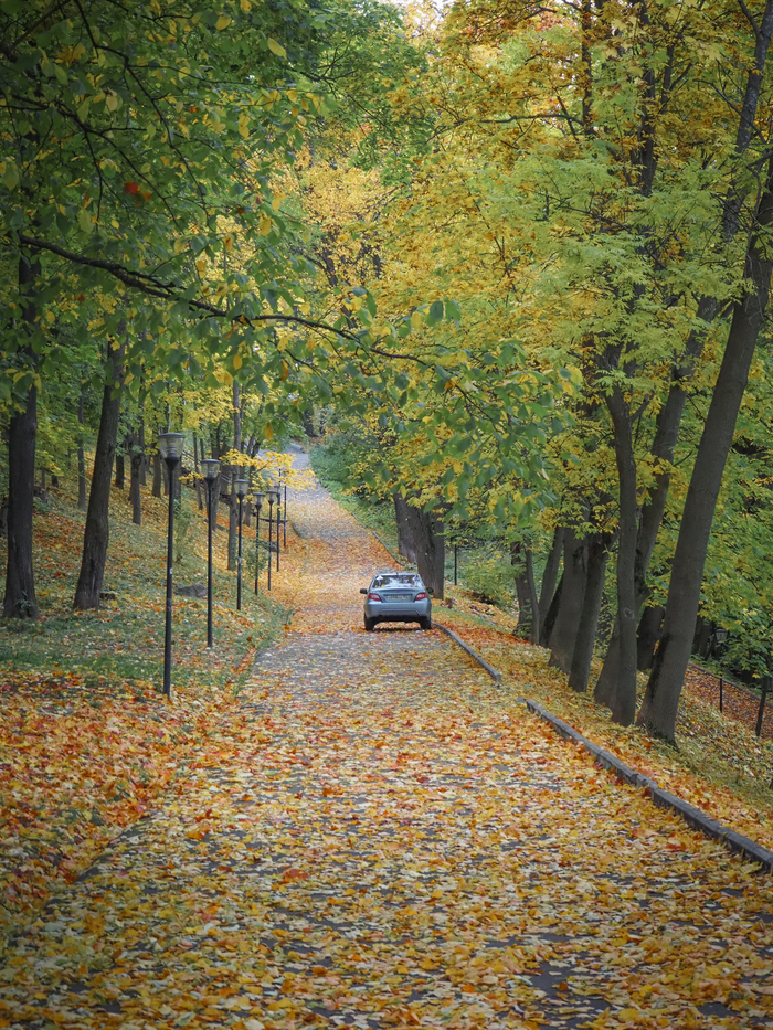 Дорога в осень...