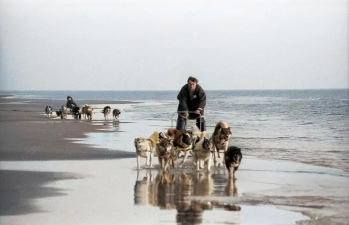 Фотограф: Владимир Чистяков Фотограф: Владимир Чистяков