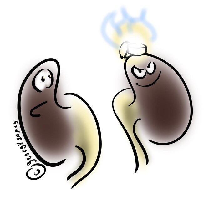 сухое горючее