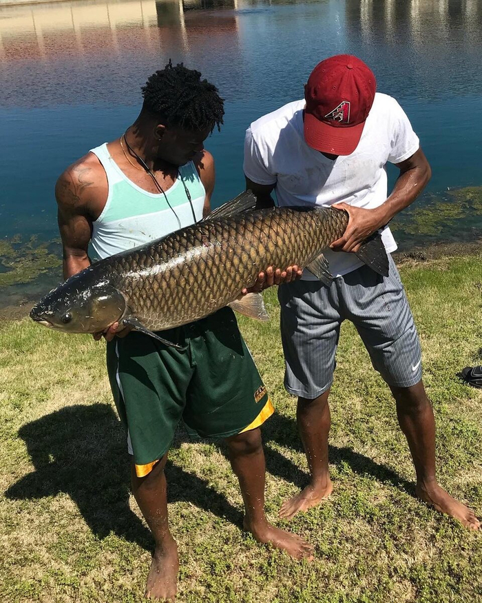 ,       .    .   ,          .