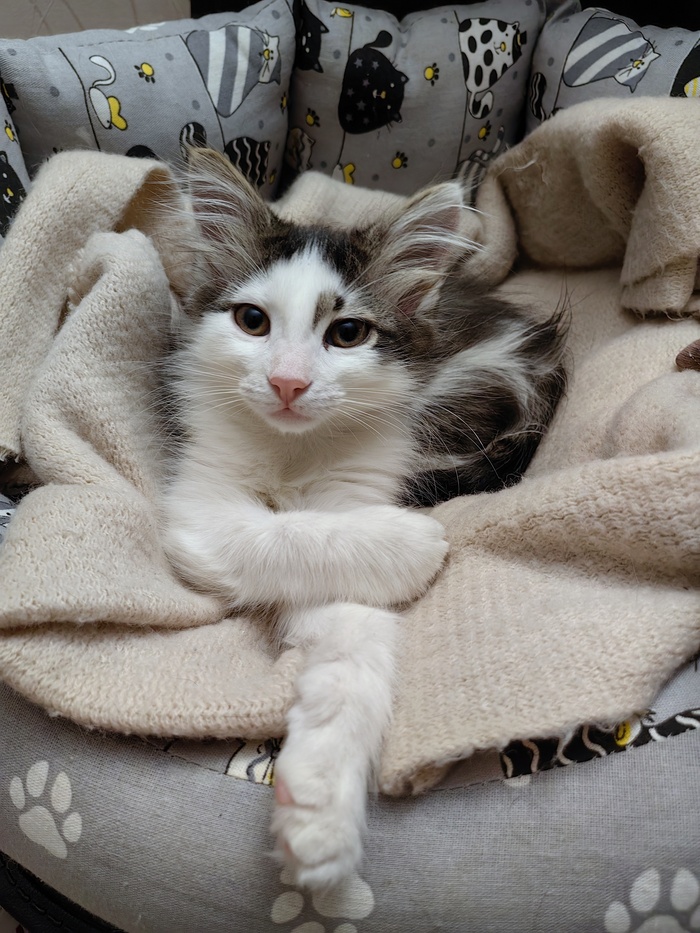 Ручки сложила и смотрит