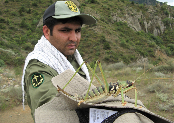 Кстати, наши герои бывают и зелёного цвета.