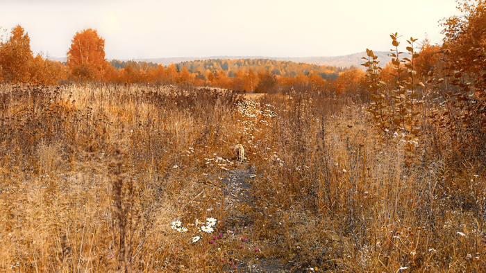 Рыжий и осень