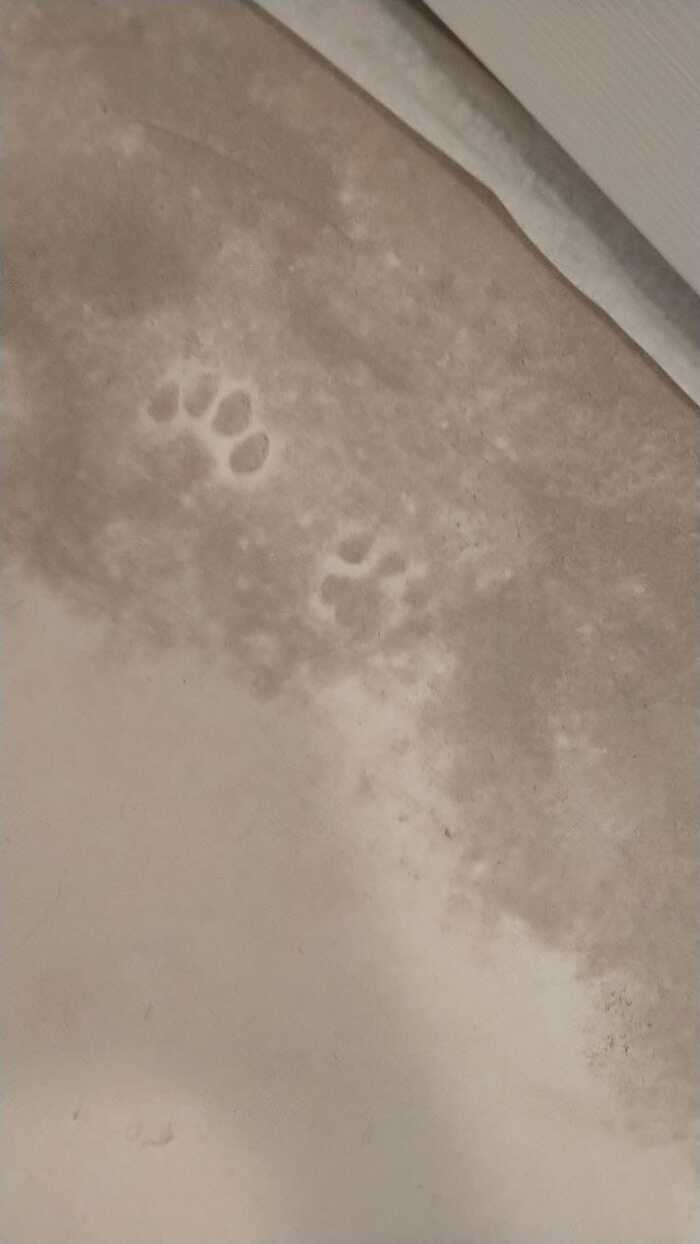 ...