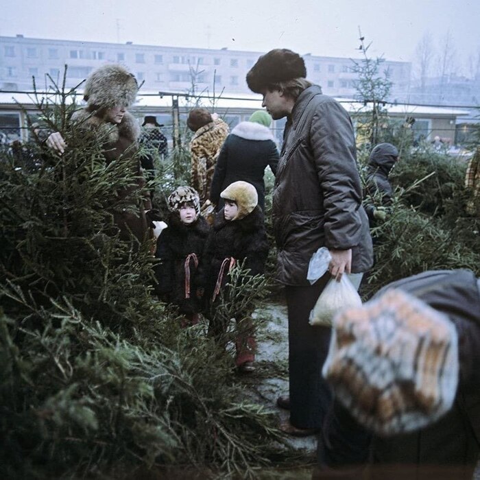 Елочный базар, 1980 год. Фото Льва Устинова.