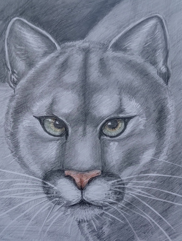 ����� �������� �����������