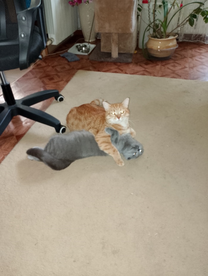 Когда в глазах страсть:)