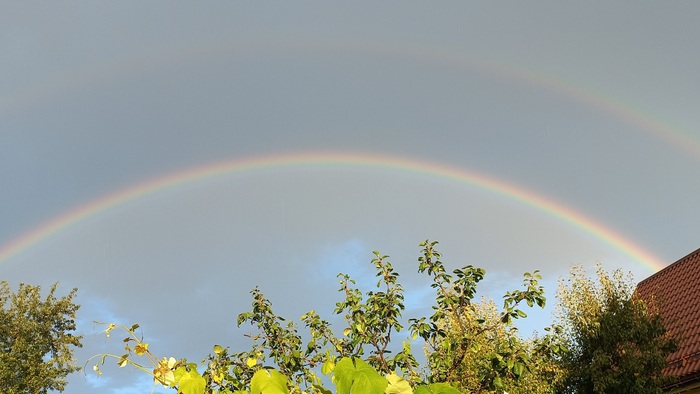 Вот такая красота появилась на небе после хорошего ливня